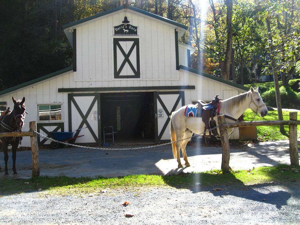 Valle Crucis Farm Exterior photo
